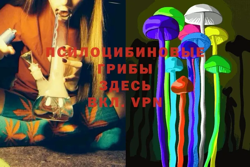 купить   OMG маркетплейс  Псилоцибиновые грибы Psilocybe  Кисловодск 